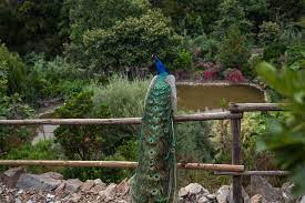 BOTANICAL PARK & GARDENS OF CRETE